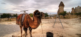 CAPPADOKIA Avion     		de la 379 €