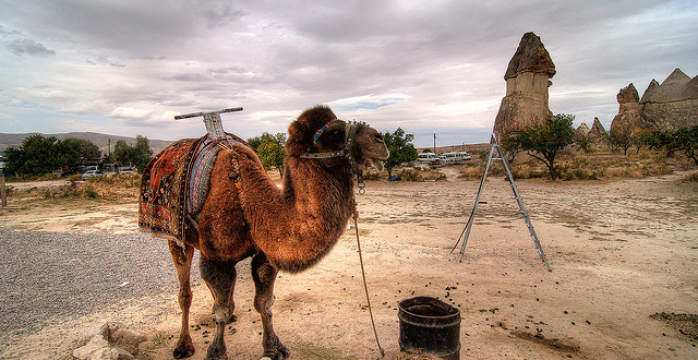 CAPPADOKIA Avion     		de la 379 €